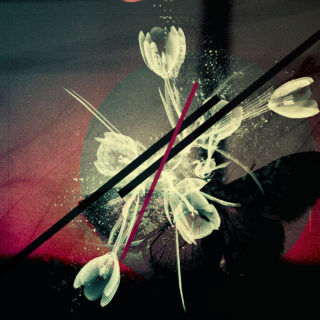 Περπατώντας στις σκιές: Οι νέοι darkwave, goth και post punk ήχοι