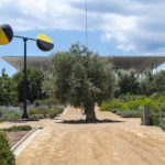 Ζήστε ξανά τη μαγεία του κινηματογράφου από κοντά με τις κινηματογραφικές προβολές του SNF Nostos