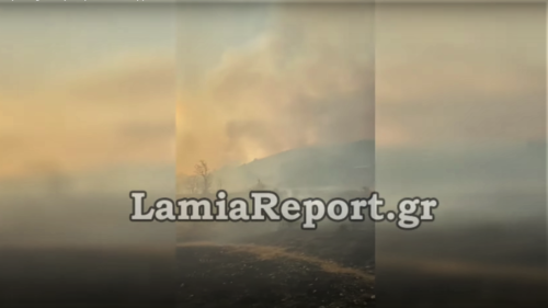 Φθιώτιδα: Μάχη με τα μέτωπα φωτιάς που πλησιάζουν το Λογγίτσι -Εκκενώθηκε το χωριό