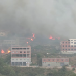 Τουλάχιστον 42 νεκροί από πυρκαγιές στην Αλγερία [ΒΙΝΤΕΟ]