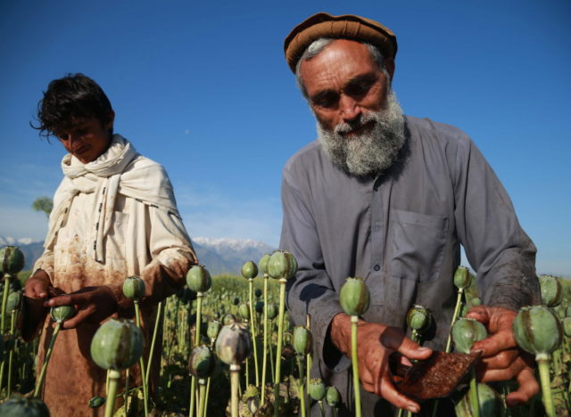 Οι ινδικές αρχές ανακοίνωσαν την κατάσχεση τριών τόνων αφγανικής ηρωίνης αξίας 2,3 δισεκ. ευρώ