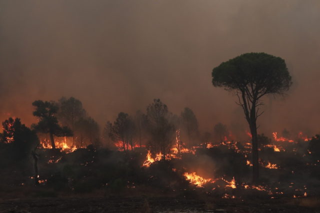 Η υπερθέρμανση του πλανήτη είναι ο κύριος ένοχος για τις δασικές πυρκαγιές στις δυτικές Ηνωμένες Πολιτείες
