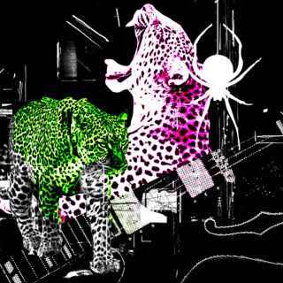 Psych-garage-rock’n’roll, psychobilly, blues-punk: Περπατώντας με τα θηρία