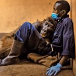 Η Ndakasi πέθανε στην αγκαλιά του καλύτερου της φίλου