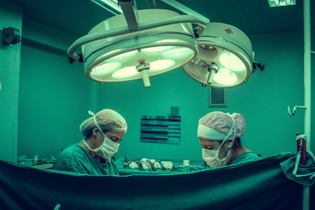 Για πρώτη φορά, γιατροί συνέδεσαν με επιτυχία νεφρό από χοίρο ​σε άνθρωπο