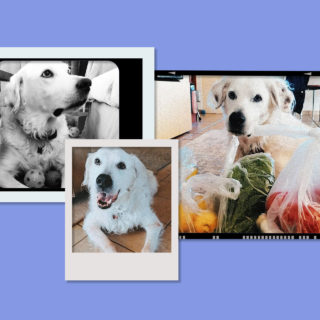 «Σου ψιθύρισα “θα γυρίσω” κι ας ήξερα πως αυτήν τη φορά δεν θα γυρνούσα»