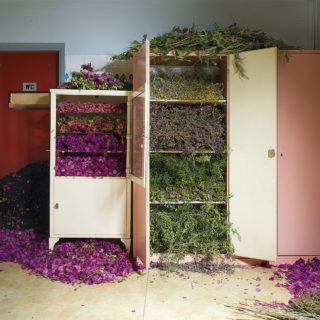 Η έκθεση reality check στο Δαφνί προξενεί αυτό που υπόσχεται