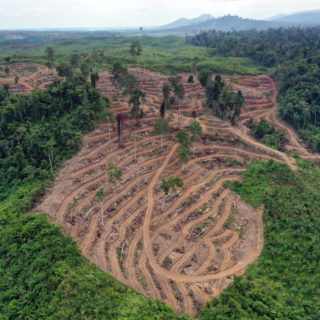 COP26: Οι παγκόσμιοι ηγέτες θα δεσμευτούν για τον τερματισμό της αποψίλωσης των δασών ως το 2030