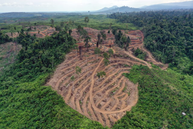 COP26: Οι παγκόσμιοι ηγέτες θα δεσμευτούν για τον τερματισμό της αποψίλωσης των δασών ως το 2030
