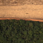 Εφιάλτης για ολόκληρο τον πλανήτη η καταστροφή του Αμαζονίου