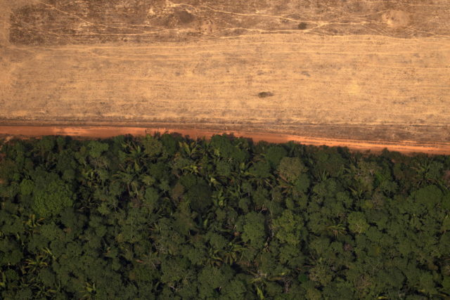 Εφιάλτης για ολόκληρο τον πλανήτη η καταστροφή του Αμαζονίου
