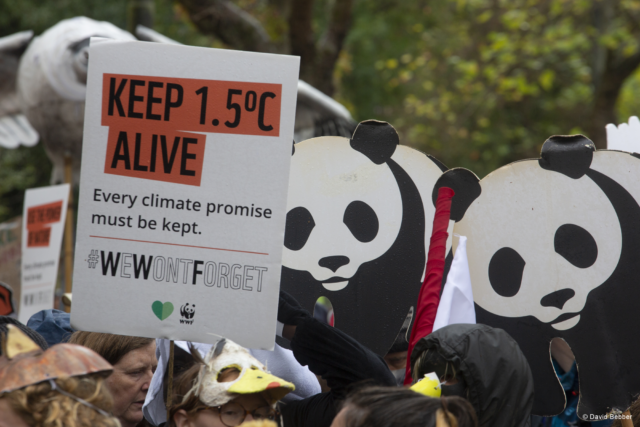 COP26 – WWF: Απογοήτευση αλλά και χαραμάδα για δράση
