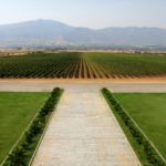 EMPHASIS Agiorgitiko από το Κτήμα Παυλίδη