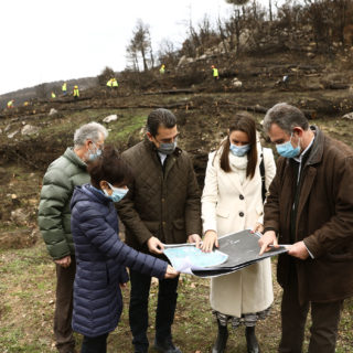 Ταχεία αποκατάσταση μεγάλου μέρος των καμένων περιοχών της Βαρυμπόμπης μέσα από τη σημαντική δωρεά της Coca-Cola στην Ελλάδα