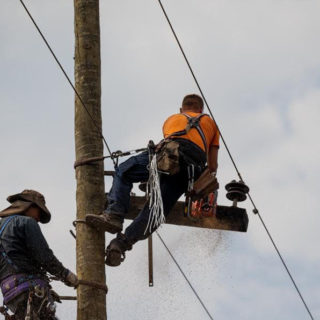 Σε λειτουργία η γραμμή 15902 για επανασύνδεση ρεύματος σε ευάλωτα νοικοκυριά