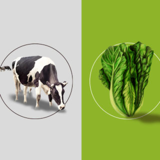 Η «τσίχλα» του βιγκανισμού: μία διατροφική τάση ή ένα κίνημα κοινωνικής δικαιοσύνης;