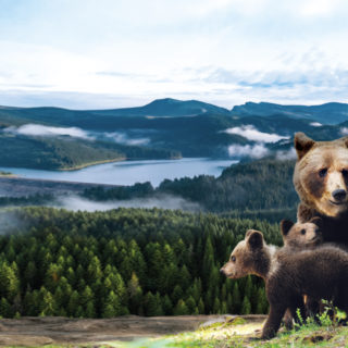 Αγαπάς τη Φύση; Αυτό το Τριήμερο είναι για σένα