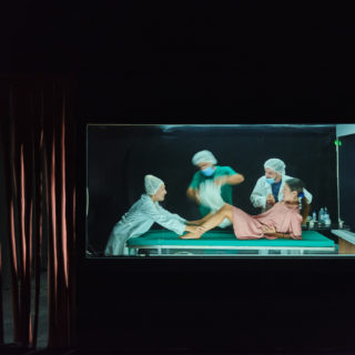 Ημερολόγιο Προβών από τον Θίασο της «Πτέρυγας»