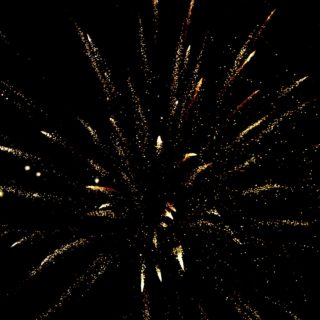 Αυτή την Ανάσταση, η δική μας ασυνειδησία κόστισε τη ζωή σε μία σκυλίτσα