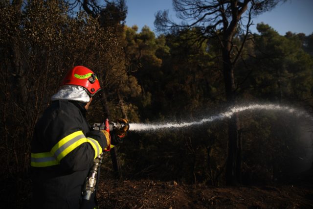 Εύβοια: Μεγάλη φωτιά σε δασική έκταση στο Αλιβέρι