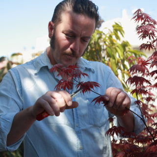 Θες μια βεράντα γεμάτη πράσινο και χρώματα; Ο Βαγγέλης Κανδύλης έχει τα πιο χρήσιμα tips