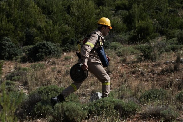 Εύβοια: Φωτιά σε δασική έκταση στην Ερέτρια