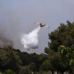 Ψαχνά: Μεγάλη οικολογική ζημιά από τη πυρκαγιά