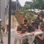 Θεσσαλονίκη: Σε ευθεία βολή η χειροβομβίδα κρότου λάμψης από τα ΜΑΤ προς τους φοιτητές [BINTEO]