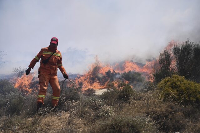 Καλαμάτα: Πυρκαγιά στην περιοχή Πανιπέρι του Δήμου Μεσσήνης