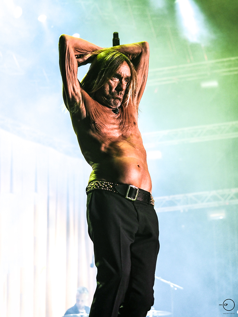Iggy Pop Release Athens