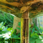 Sonic Stories: Ακούστε τον κόσμο μέσα από ήχους