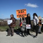 Αττικό Πάρκο: Προανάκριση για τον θάνατο του χιμπατζή