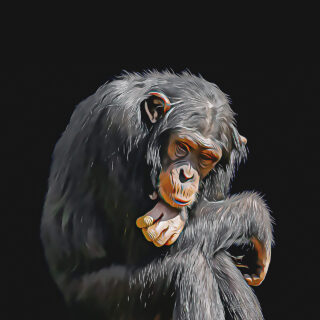 Ο Μπαζού σκοτώθηκε διεκδικώντας την ελευθερία του