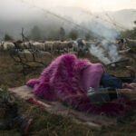 Athens Photo World 2022: Έκθεση των νικητών των βραβείων Yannis Behrakis & Athens Photo World 2021