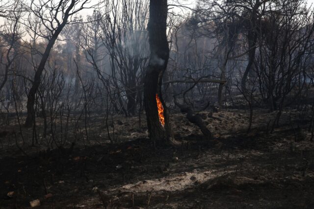 Υπό μερικό έλεγχο τέθηκε η πυρκαγιά στα Βίταλα Ευβοίας