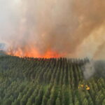 Οι φετινές πυρκαγιές στην Ευρώπη έχουν ήδη καταστρέψει περισσότερη έκταση σε σχέση με το σύνολο του 2021