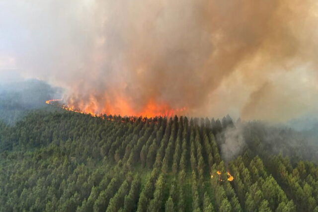 Οι φετινές πυρκαγιές στην Ευρώπη έχουν ήδη καταστρέψει περισσότερη έκταση σε σχέση με το σύνολο του 2021