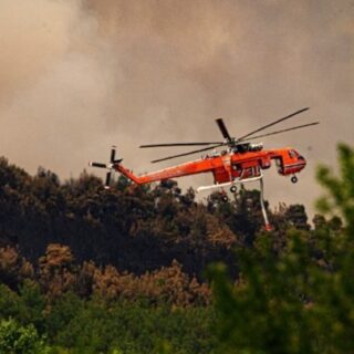 Αλεξανδρούπολη: Νέες αντιπυρικές ζώνες στο νοτιοδυτικό τμήμα του Εθνικού Πάρκου