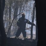 Πυρκαγιά σε δασική έκταση στην Αχλαδερή της Λέσβου