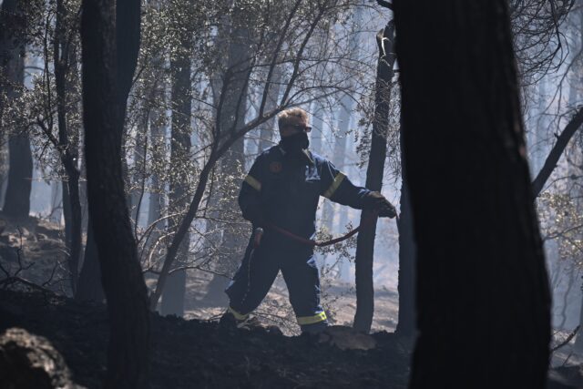 Κέρκυρα: Φωτιά σε γεωργική έκταση στο Τεμπλόνι