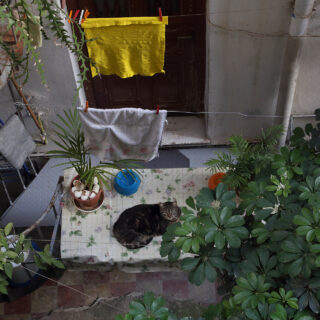 Ακάλυπτοι: Μικρές «γειτονιές» στα κρυφά σημεία της πόλης