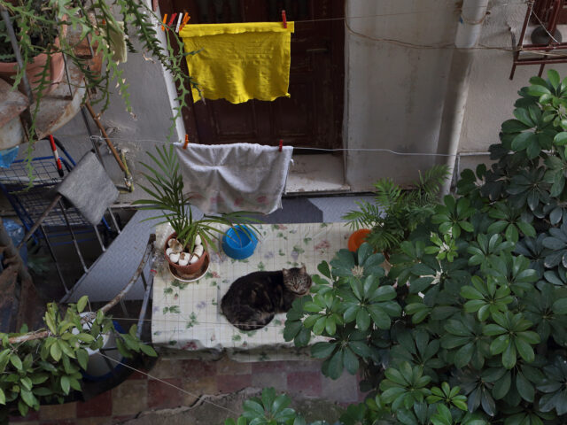 Ακάλυπτοι: Μικρές «γειτονιές» στα κρυφά σημεία της πόλης