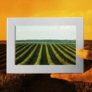 Χαλάζι, καταιγίδες, καύσωνες: Πώς η κλιματική κρίση πλήττει τη γεωργική παραγωγή μας