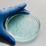 Βακτήρια που προκαλούν την σπάνια αλλά θανατηφόρα λοίμωξη Μελιοείδωση εντοπίστηκαν στον Μισισιπή