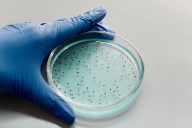 Βακτήρια που προκαλούν την σπάνια αλλά θανατηφόρα λοίμωξη Μελιοείδωση εντοπίστηκαν στον Μισισιπή