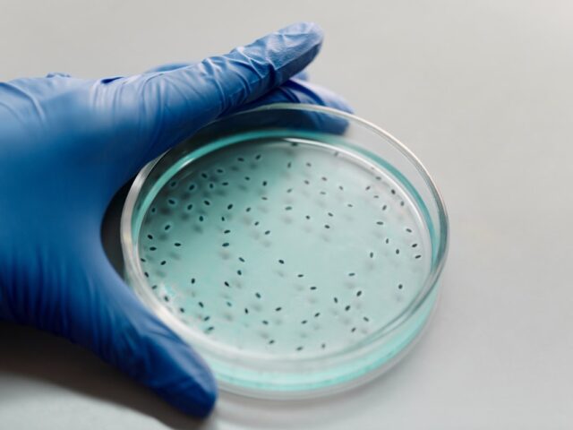 Βακτήρια που προκαλούν την σπάνια αλλά θανατηφόρα λοίμωξη Μελιοείδωση εντοπίστηκαν στον Μισισιπή