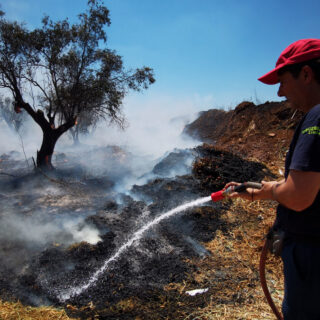 Φωτιά στο Κορωπί καίει χαμηλή βλάστηση