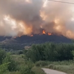Φωτιά στον Έβρο: Μάχη για να σωθεί το δάσος της Δαδιάς