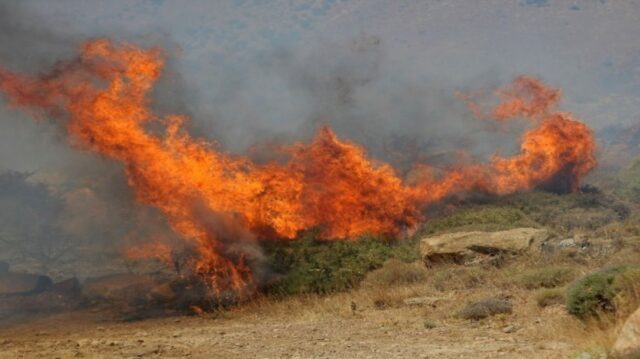 Αναζωπύρωση της πυρκαγιάς στη Λέσβο, εκκενώνεται η Βρίσα, καθηλώνεται η φωτιά στη Δαδιά