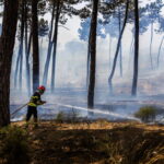 Πορτογαλία: Υπό έλεγχο τέθηκε η πυρκαγιά στον εθνικό δρυμό Σέρα ντα Εστρέλα